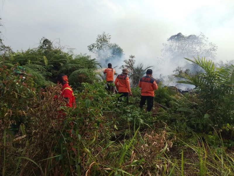 Tim Gabungan Berjibaku Padamkan Karhutla di Pelalawan