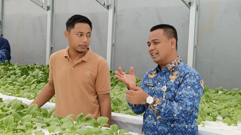 DKP Lakukan Pendampingan Pengurusan Izin Edar Tiga Usaha Hidroponik