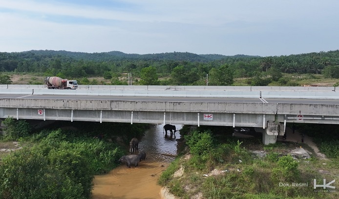 Enam Underpass Jadi Persembahan Hutama Karya untuk Cinta Gajah