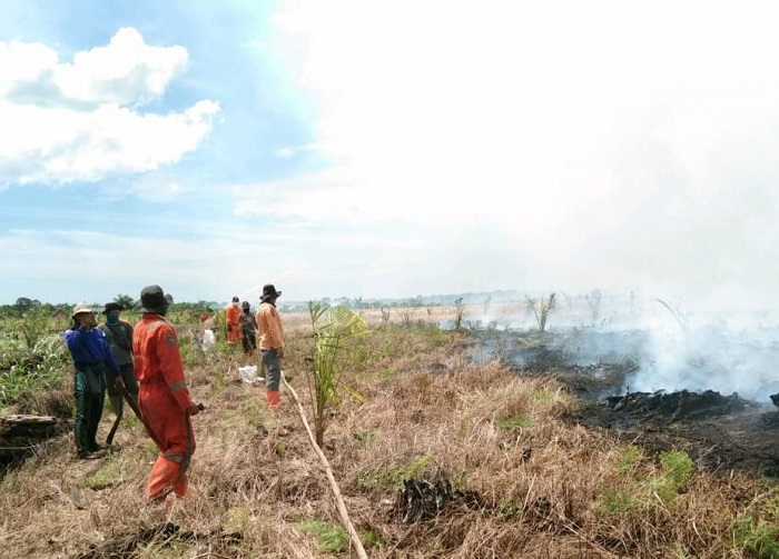 Antisipasi Karhutla Gubri Petakan 134 Kecamatan Rawan Kebakaran