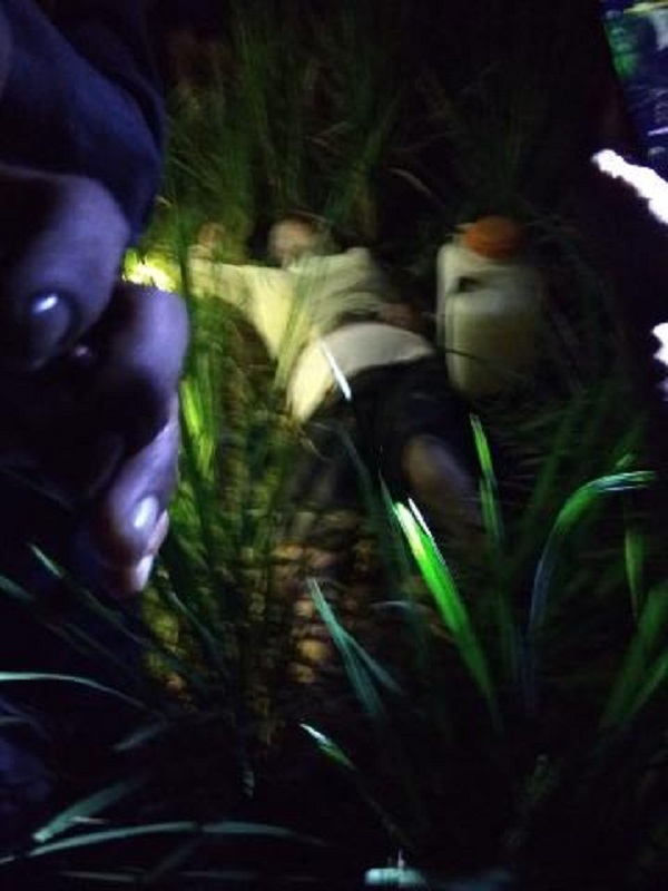 Warga Benai Heboh, Nenek Orang Ditemukan Tewas di Sawah, Diduga...