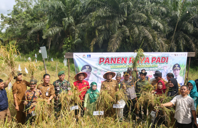 Padi dan Jagung Solusi Ketahanan Pangan, Pemko Siap Maksimalkan Lahan Tidur