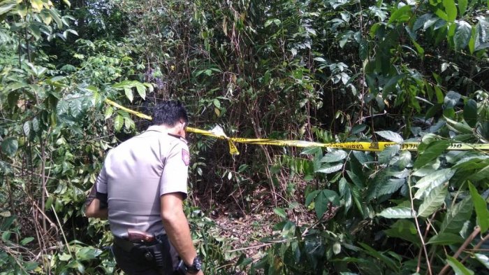 Diduga Bunuh Diri, Warga Pekanbaru Temukan Tulang-Belulang Manusia di Semak-semak Jalan Naga Sakti