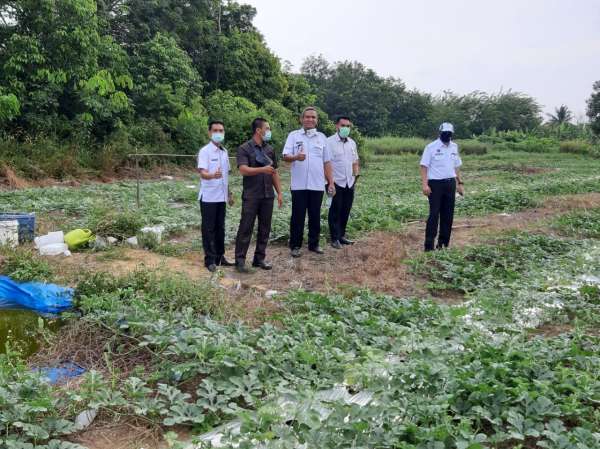 Amankan Aset, BPKAD Tinjau Lahan Pemko Pekanbaru di Empat Titik