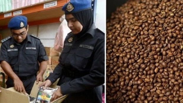MENJIJIKKAN...Pabrik Kopi Ini Ditutup Setelah Ditemukan Taik Tikus Ikut Digiling Juga 