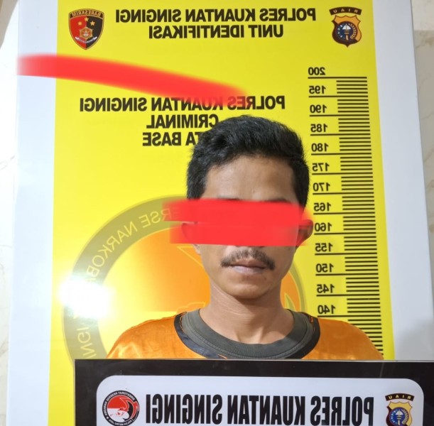 22 Paket Daun Ganja Kering Berhasil Di Amankan Tim Satresnarkoba Polres Kuansing
