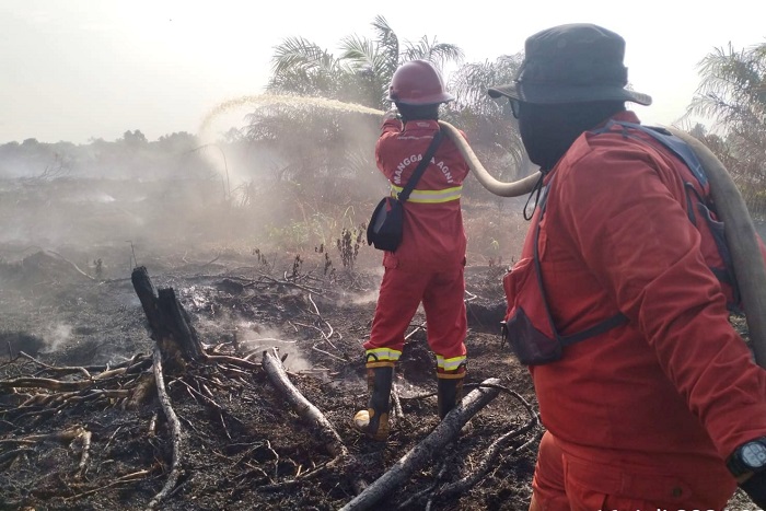 Sudah 15.477 Hektare Lahan dan Hutan di Riau Terbakar