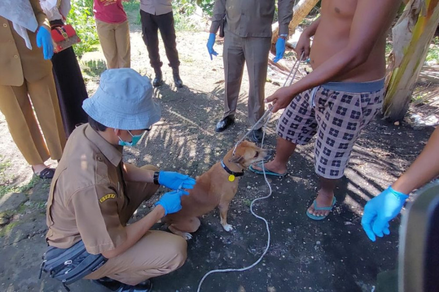 7 Oktober 2023 Pemprov Riau Berikan Vaksin Rabies Gratis