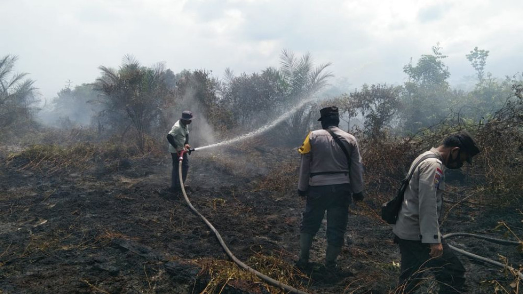 Dua Kecamatan di Pekanbaru Terdampak Kebakaran Lahan Sejak Pekan Kemarin