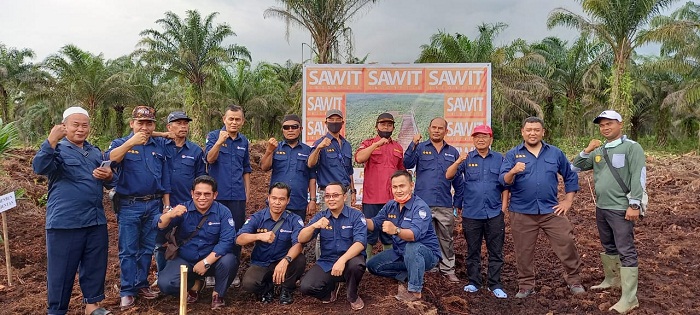 Tanam Perdana Sawit PSN Dihadiri Gubri dan Legislator Senayan, Petani: Terimakasih Presiden Jokowi 