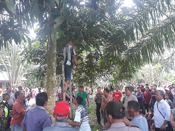Ikmal Tewas Gantung Diri, Anak: Mak, Ngapain Bapak Manjat Pohon Mangga?