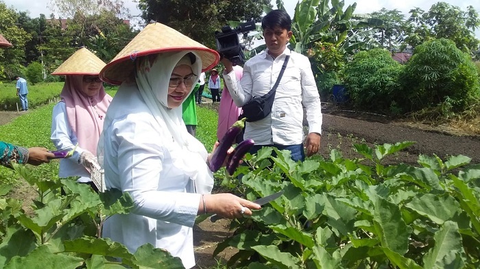 El Syabrina Pensiun, Muflihun Tunjuk Mahyudin Plt. Kadis Ketapang