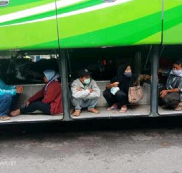 Gegera Jokowi Larang Mudik, Warga Nekat Sembunyi dalam Bagasi Bus di untuk Hindari PSBB, Ini Fotonya