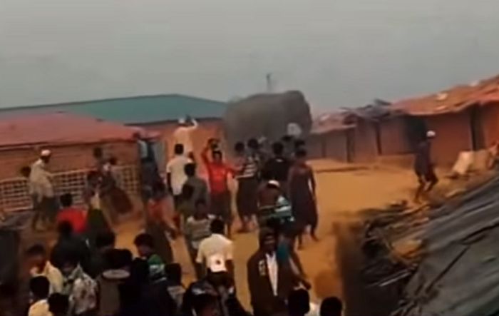 INNALILLAHI...Gajah Hancurkan Kamp Pengungsi Rohingya, Bocah 12 Tahun Meninggal Dunia, 30 Orang Terluka, Ini Videonya