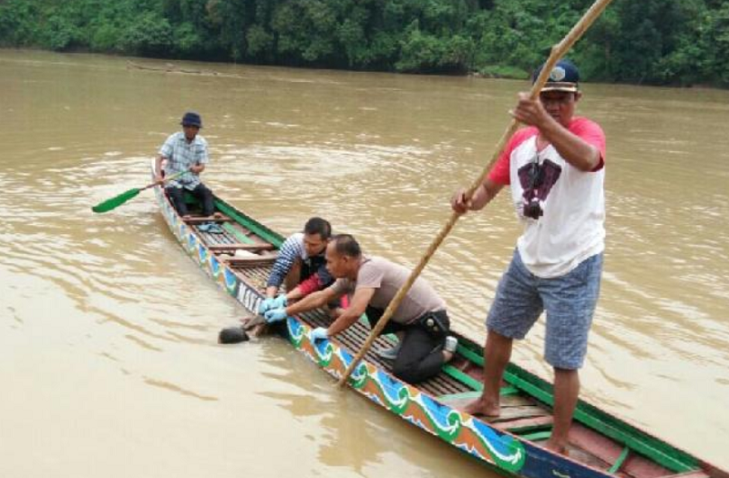 Tersangkut di Mesin Sedot Pasir, Warga Desa Kuntu-Kampar yang Tenggelam di Kaunsing Ditemukan