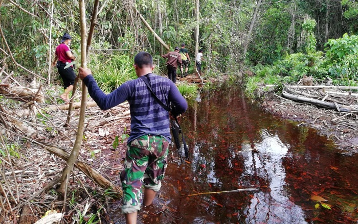 NGERI...7 Warga Inhil 'Disandera' Harimau Bonita di Tengah Hutan, Ini yang Terjadi Kemudian