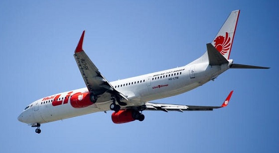 Selain Puing Pesawat, Basarnas Juga Temukan Beberapa Potongan Tubuh Penumpang Lion Air