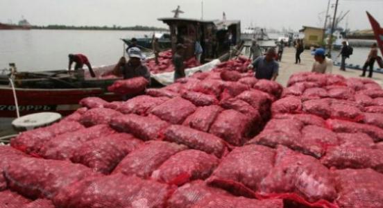 Bea Cukai Tangkap 23,7 Ton Bawng Merah di Tanjung Jering