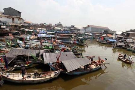 Investor Jepang Akan Bangun International Fish Market di Bagansiapiapi