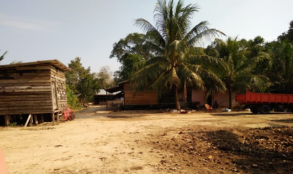 Viral Anak SD Bergelantungan di Kampar, YLBHR Ungkap Lokasi  Kebun Sawit dalam Kawasan Hutan