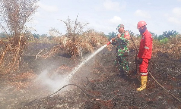 Petugas Gabungan Padamkan Kebakaran Lahan di Bonai Darussalam