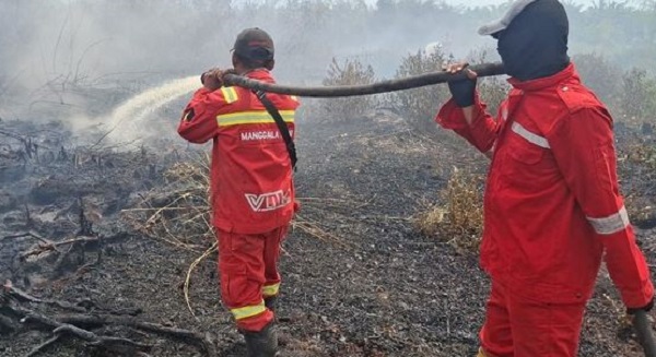 Sumatera Mulai Memanas, Manggala Agni Diturunkan di Wilayah Riau,  Sumut dan Aceh