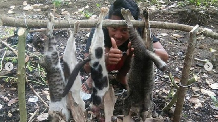 VIRAL...Sekelompok Pria Pamer Kucing Hasil Buruan 'Siap Bakar', Ini Foto-fotonya