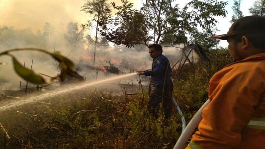 Kebakaran Lahan di Bathin Solapan Diduga Terjadi di Areal Konsesi Perusahaan