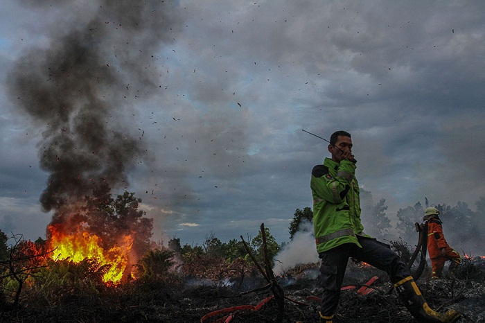 19 Ton Garam Telah Disemai di Langit Riau, Hasilnya?