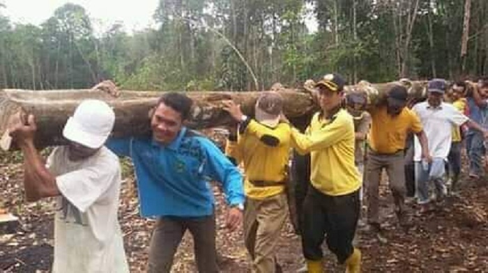 Salut, Warga Batang Peranap Gotong Royong Buat Dam Atasi Abrasi