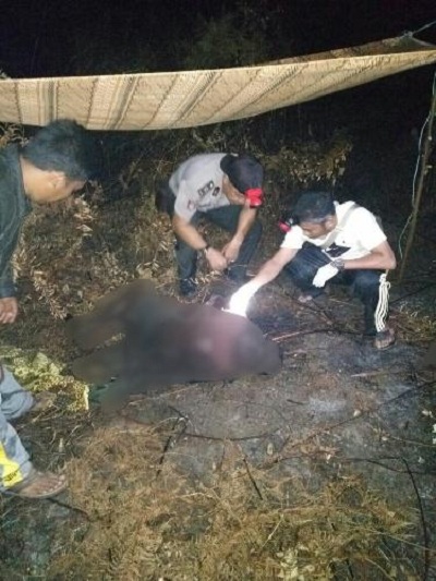 MALANG...Muhammad Zein Ditemukan Cucunya Tewas Terbakar di Kebun