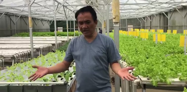 Sebut Kasus Jiwasraya Adalah Perampokan, Andi Arief: Mending Duitnya Buat Aquaponik dan Hidroponik