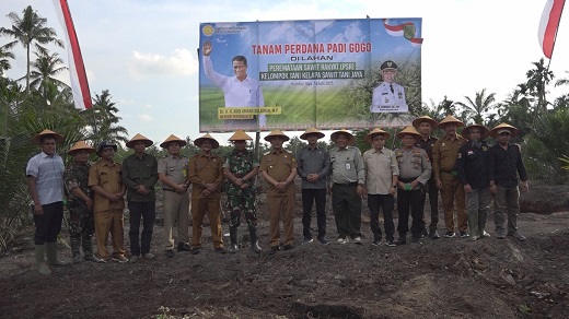 Bupati Inhil Laksanakan Tanam Perdana Padi Gogo di Lahan Sawit Program PSR
