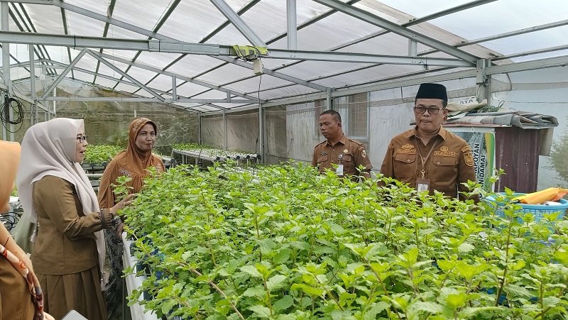 Jalin Sinergi di Awal Tahun, Kadis Pangan Pekanbaru Tinjau Aktivitas 2 KWT di Perhentian Marpoyan