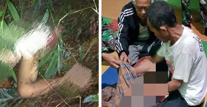 Mengerikan! Mau Pergi Mandi, Sulis Tewas Dimangsa Harimau, Jasadnya Terpotong-potong