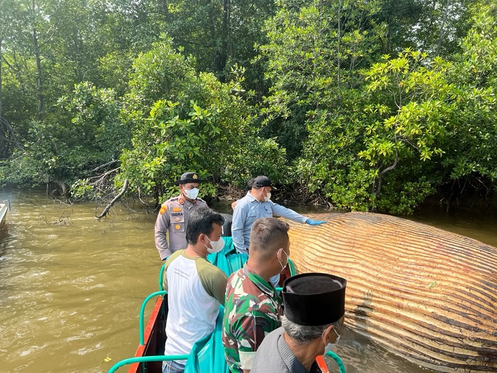 Bangkai Paus di Perairan Mandah Inhil Dievakuasi