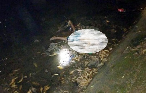 Buang Air, Remaja Belasan Tahun Tewas Dililit Ular Sanca Lima Meter