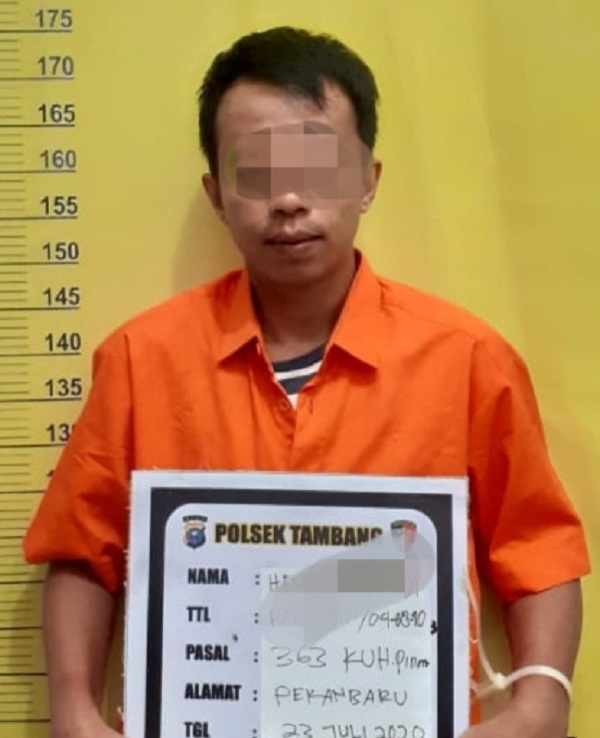 Tersangka Pencuri Hape yang Ditangkap Polsek Tambang ini Ternyata Baru Bebas dari Penjara