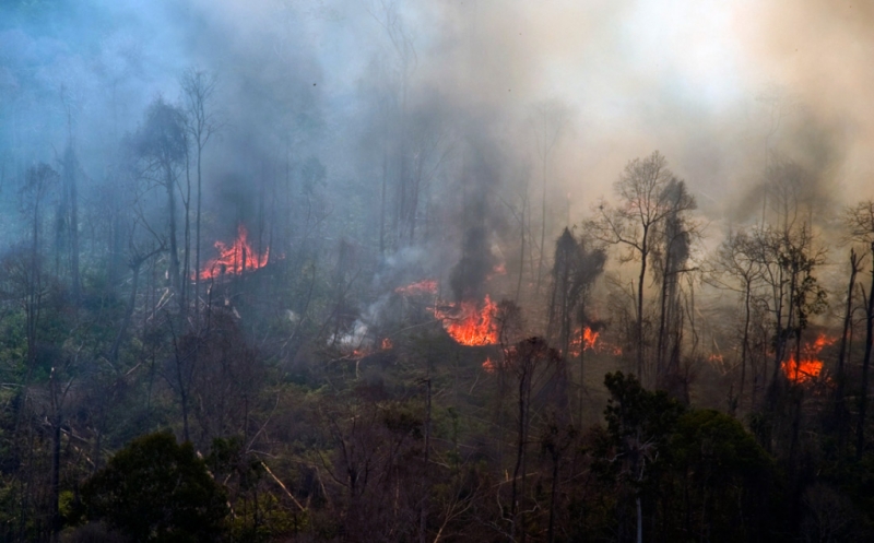Polri Evaluasi Mandeknya Penyidikan 15 Korporasi di Riau