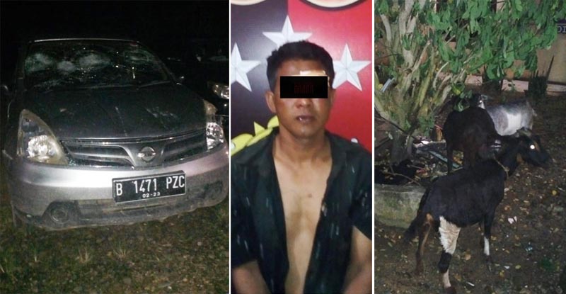 BUKAN MENGHINA, Di Rokan Hulu, Riau, Mobil Grand Livina Penumpangnya Kambing, Ketahuan Warga, Hancur deh...