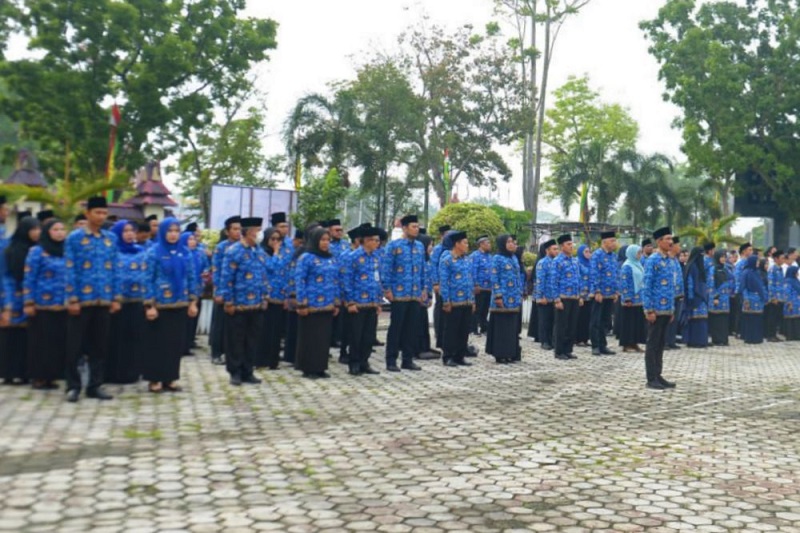 Seleksi CPNS Pemprov Riau Resmi Dibuka, Cek di Sini...