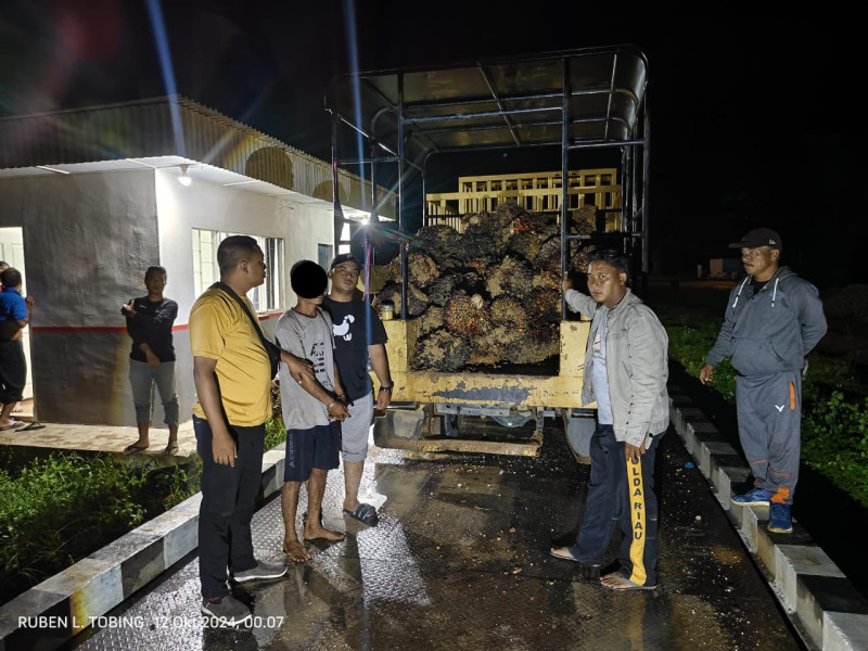 Ninja Sawit Berhasil Di Amankan Reskrim Polsek Benai