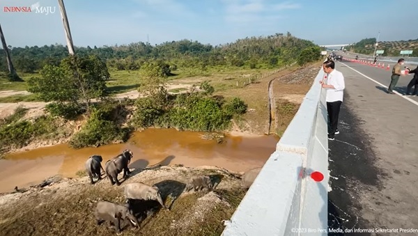 Lihat Terowongan Gajah di Tol Pekanbaru-Dumai, Presiden Jokowi: Pembangunan Infrastruktur Penting Memperhatikan Lingkungan