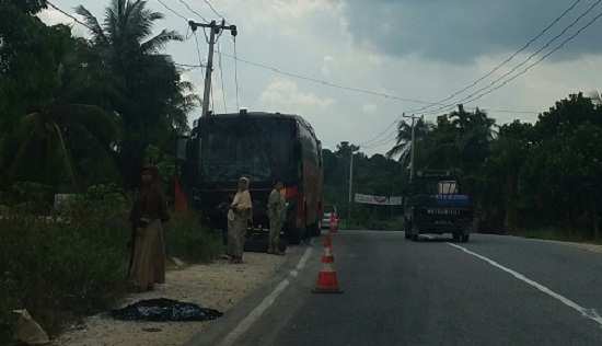 Tabrak Maut, Bus Halmahera Hantam Hilux Sopirnya Langsung Tewas di Tempat