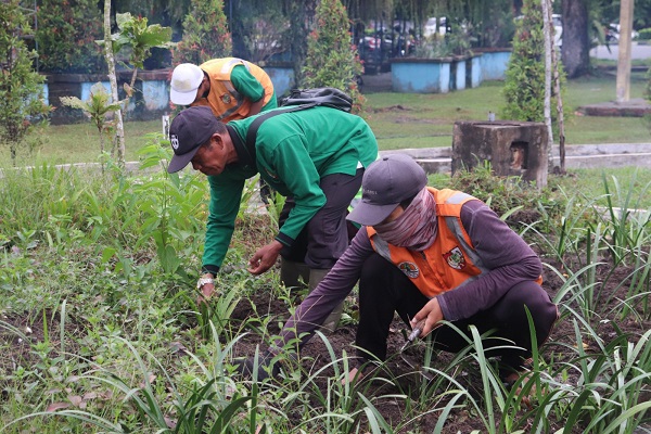 Wako Pekanbaru Galakkan Penghijauan, DLHK Tata Ulang Taman Median Jalan