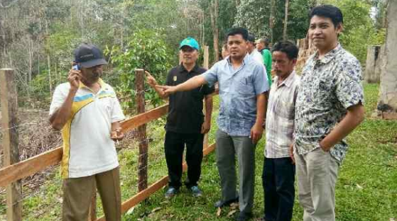 Bantuan Bibit Sawit Segera Disalurkan, Dewan Cek Kesiapan Petani di Kuansing