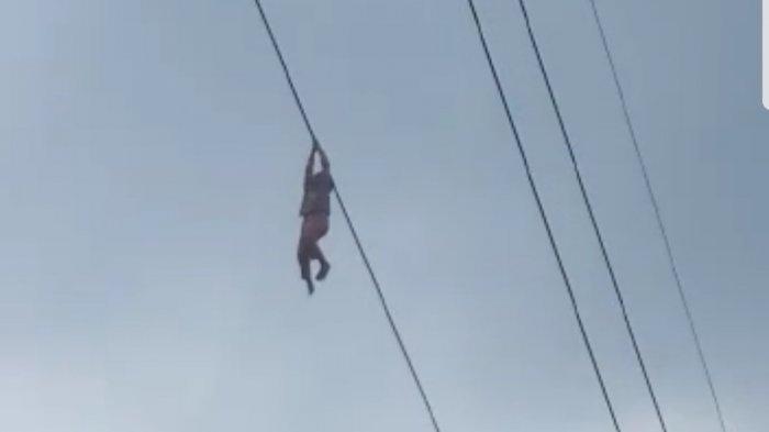 Tolonggg... Ini Detik-detik Bocah Teriak Minta Tolong Saat Tergantung di Kawat PLN Setinggi 15 Meter, Kok Bisa?