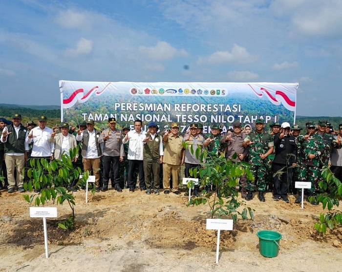 Reforestasi TN Tesso Nilo, Tahun Ini Pemerintah Targetkan pemulihan 2.574 Hektare
