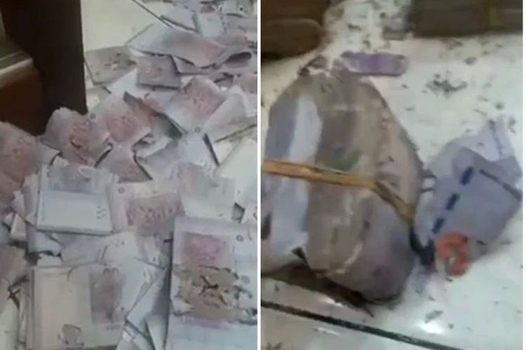 Ada Bank, Nenek Malah Simpan Uang Hampir Rp 1 Miliar di Kaleng Susu, Hancur Dimakan Serangga