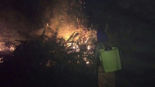 Petugas Kesulitan Padamkan Api yang  Hanguskan 10 Hektar Lahan Sagu dan Karet
